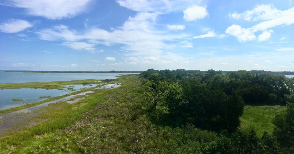 Virginia Eastern Shore Land Trust Land Trust Alliance