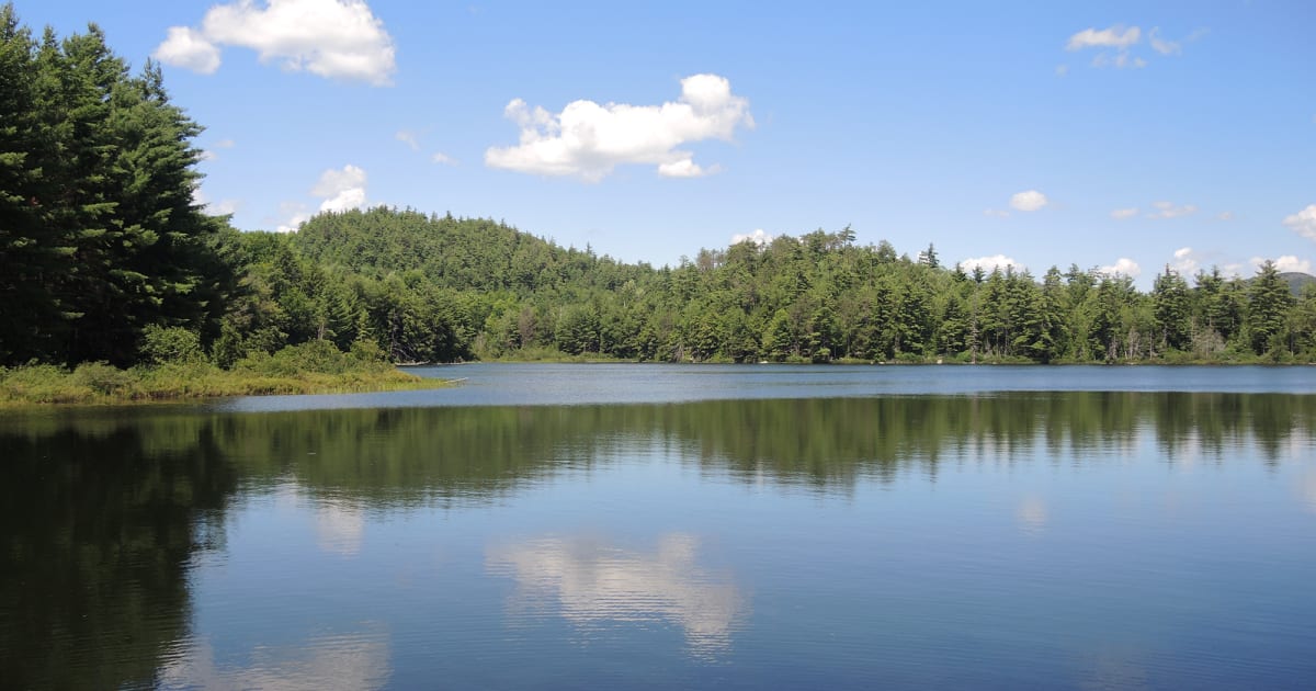 Northeast Wilderness Trust - Land Trust Alliance