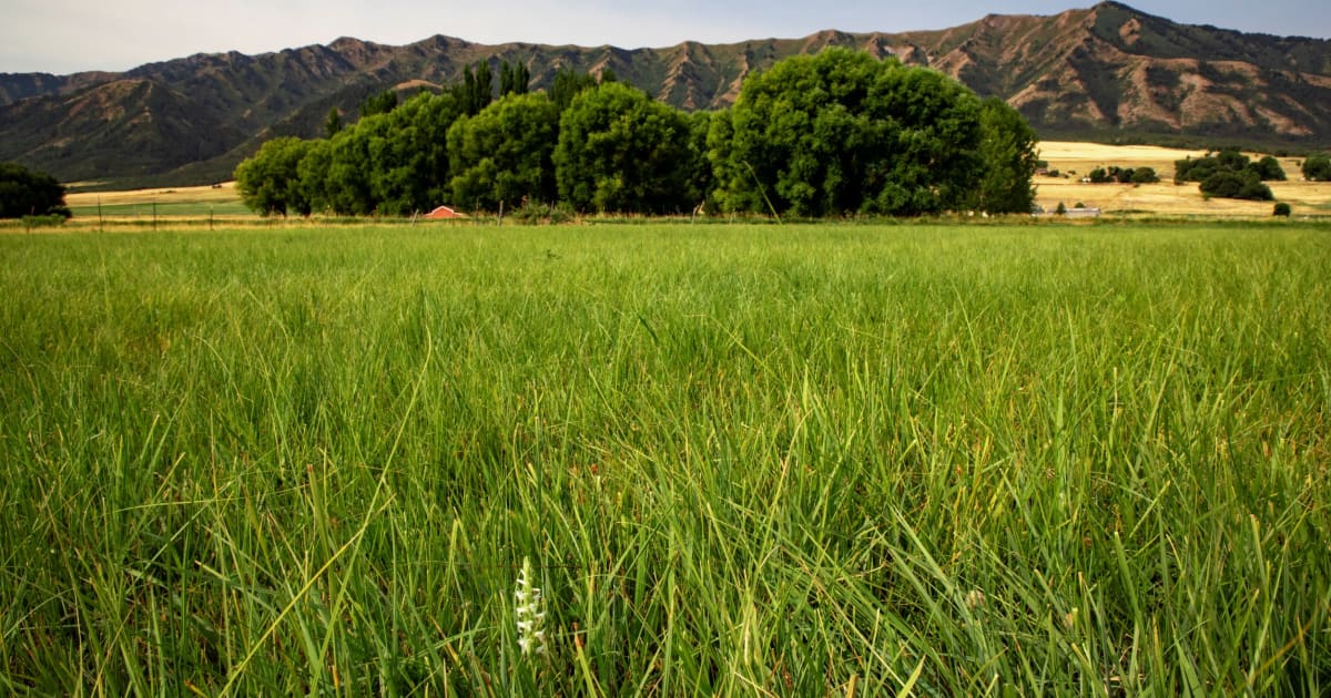 Bear River Land Conservancy Land Trust Alliance