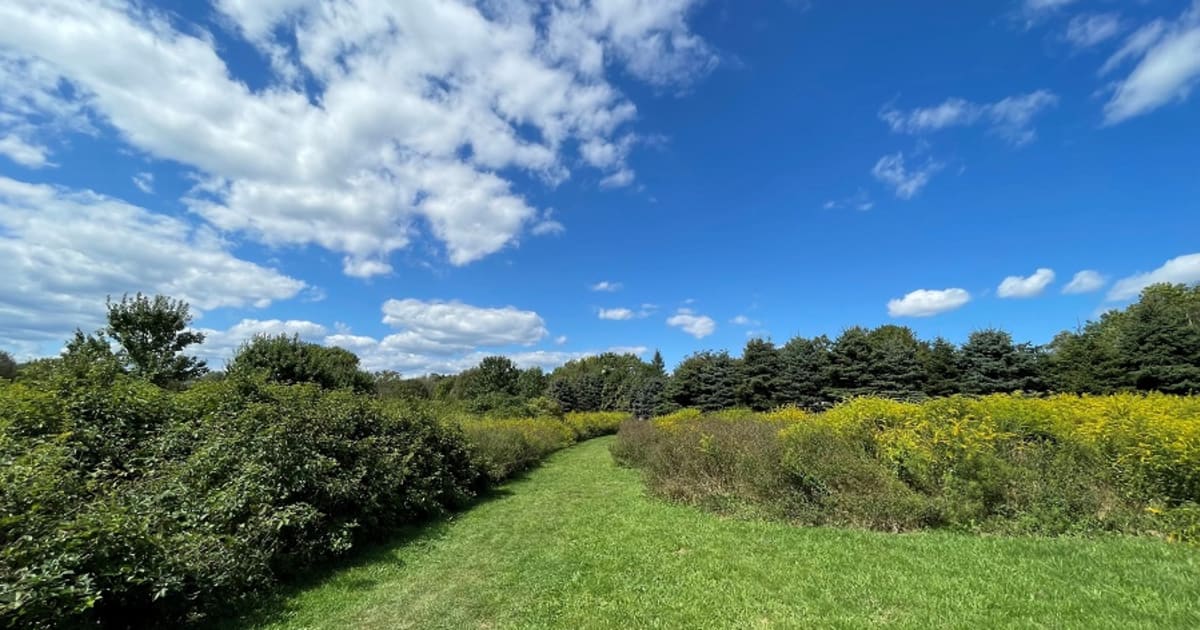 Aquidneck Land Trust Land Trust Alliance