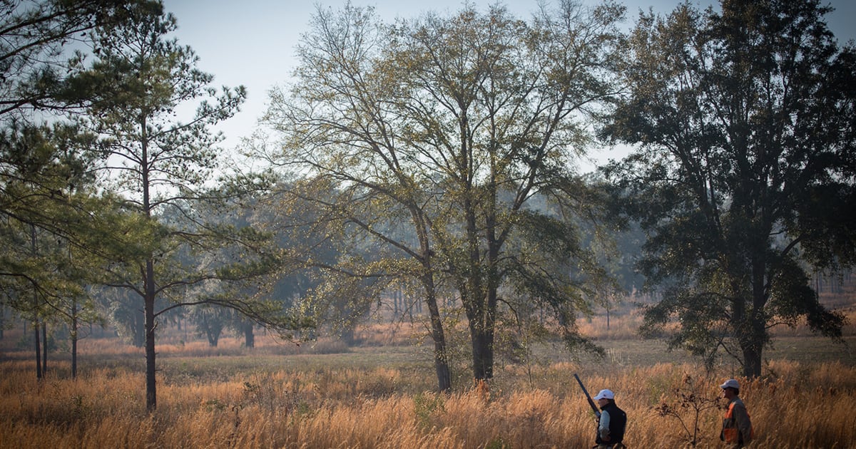Tall Timbers Research Station & Land Conservancy Land Trust Alliance