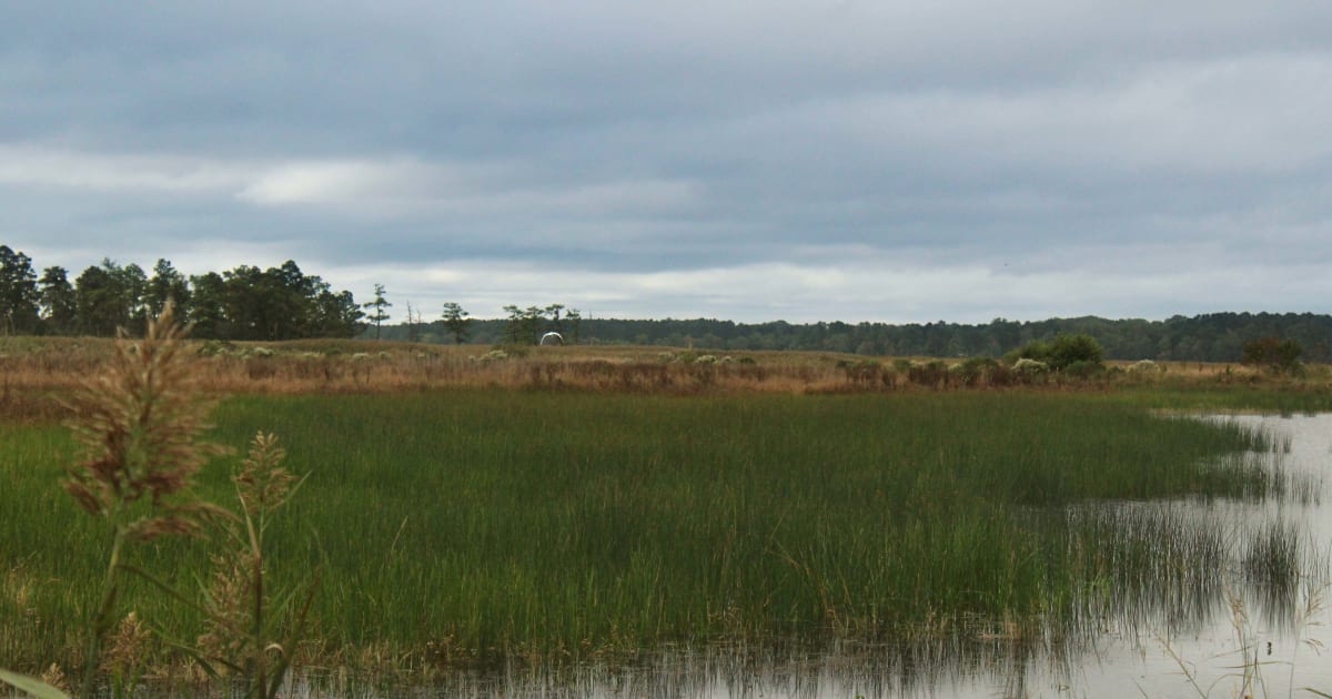 Eastern Shore Land Conservancy Land Trust Alliance