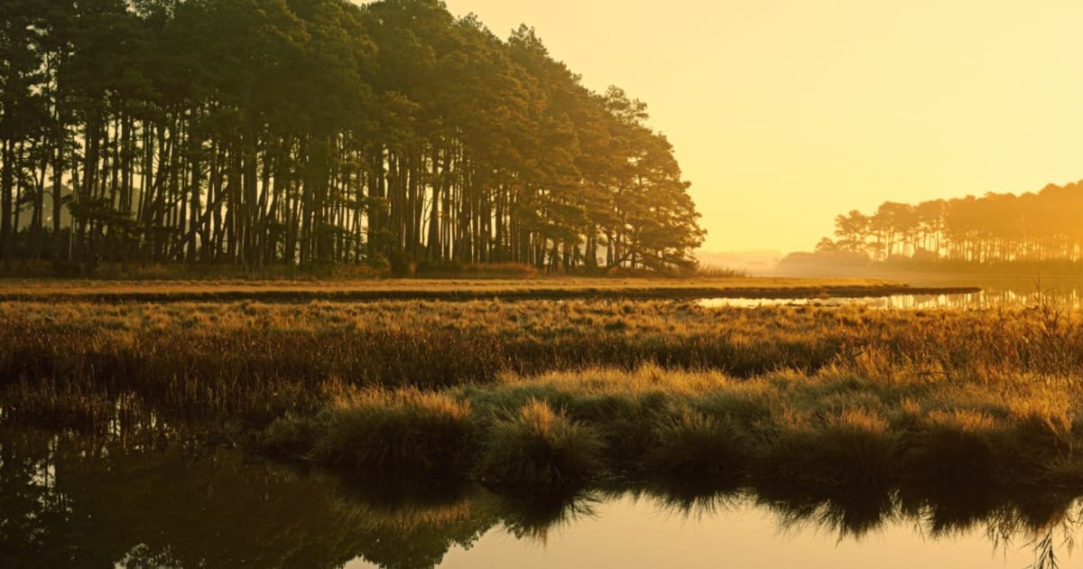 Lower Shore Land Trust Land Trust Alliance