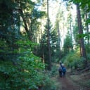 In 2014, California’s Bear Yuba Land Trust discovered several large Douglas fir and incense cedar trees cut down and lying in a ravine on its Woodpecker Wildlife Preserve. The fallen trees were clogging the natural stream runoff route and jeopardizing stability of the steep hillsides. Through Terrafirma support, the land trust attempted mediation but eventually turned to litigation, winning a settlement from the landowner after three years.