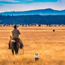 A historic ranch conserved in 2009 is home to the Trexlers, a multi-generational Bitterroot ranching family.