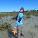 An OPS fish and wildlife technician inspects Florida coastal wetlands as part of mangrove ecosystem research.