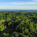Forests are a prime example of natural climate solutions. Forest protection, restoration and improved forest management practices harness the power of nature to reduce the impacts of climate change.