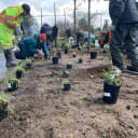 Naturescaping event with Verde for low income community residents.