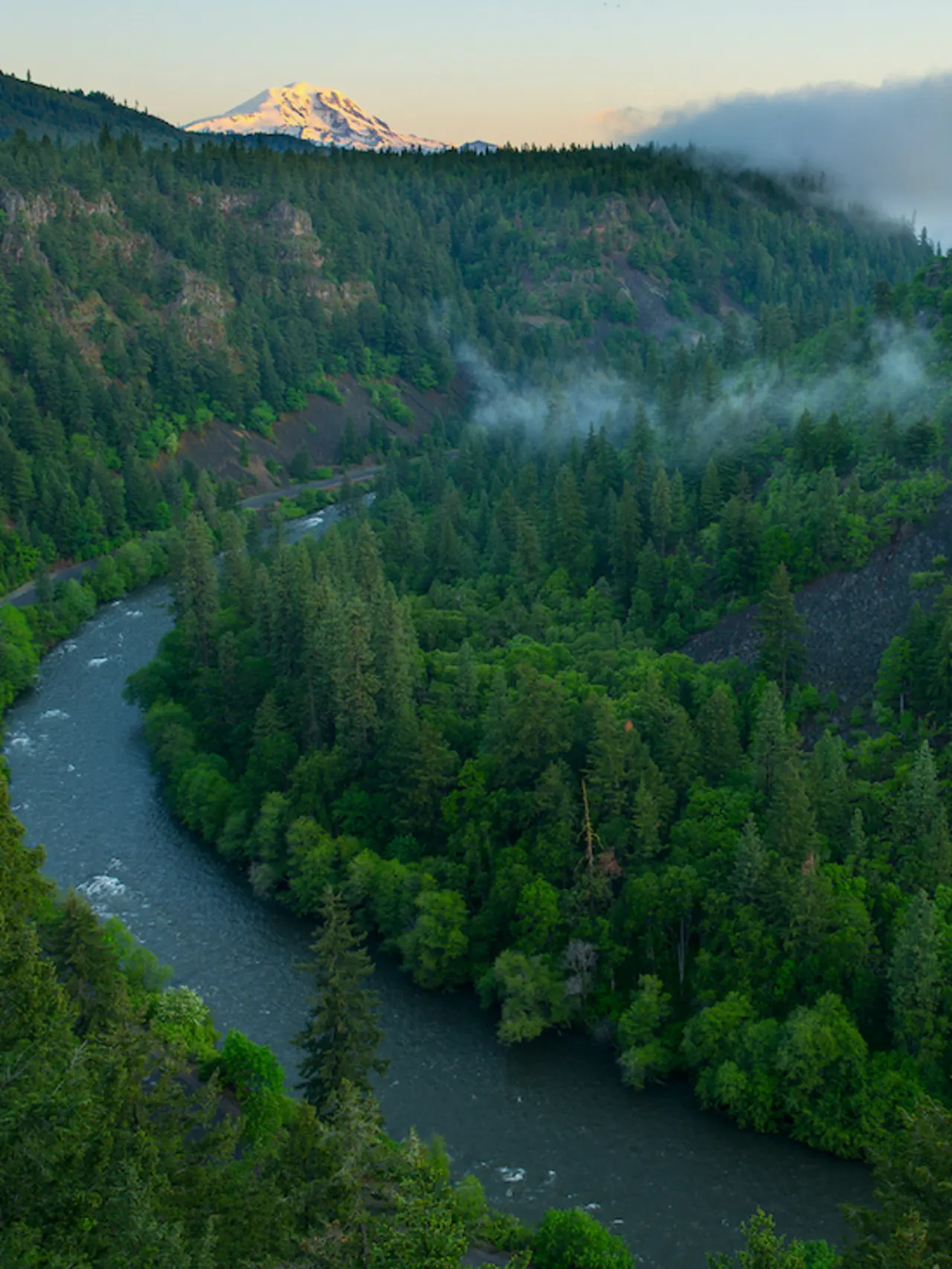 A river running through a forest with fog over the trees and a mountain in the background.