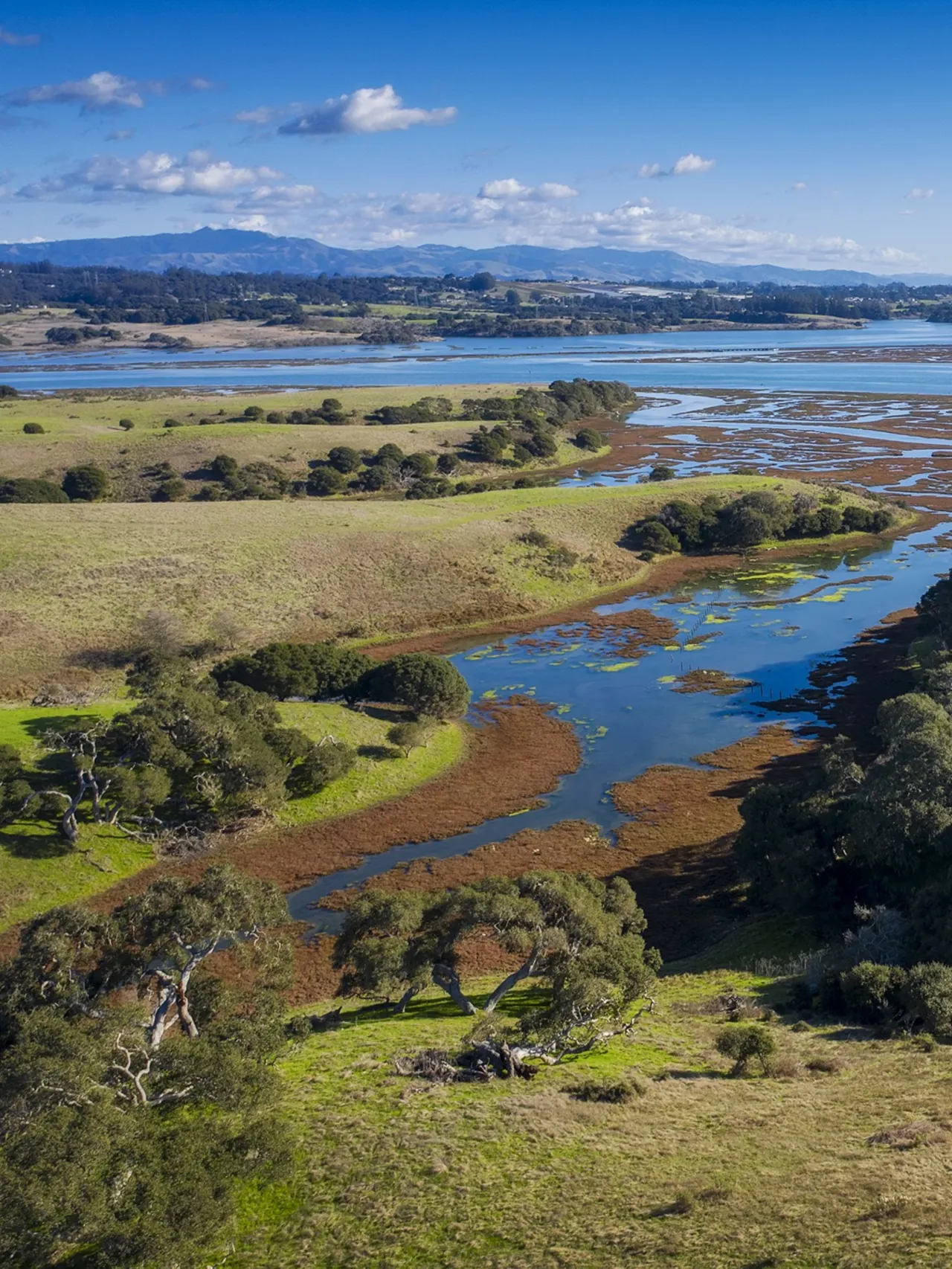 Above view of water surrounded by grassy hills with trees
