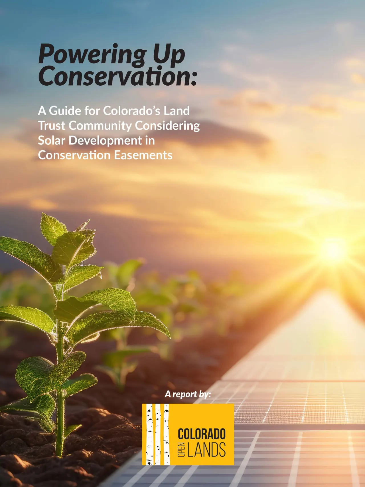 Young plants in a field under a solar panel installation with a sunset, featuring text about a guide for solar development in conservation easements.