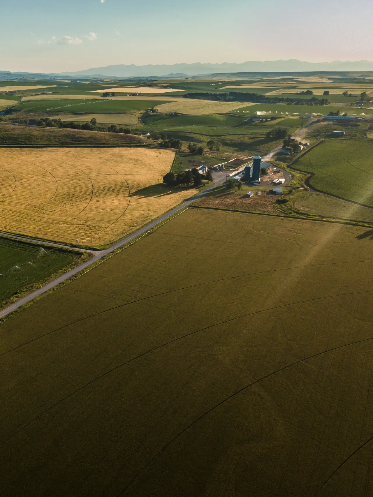 Photo of fields divided by a road, with farm buildings on either side of road