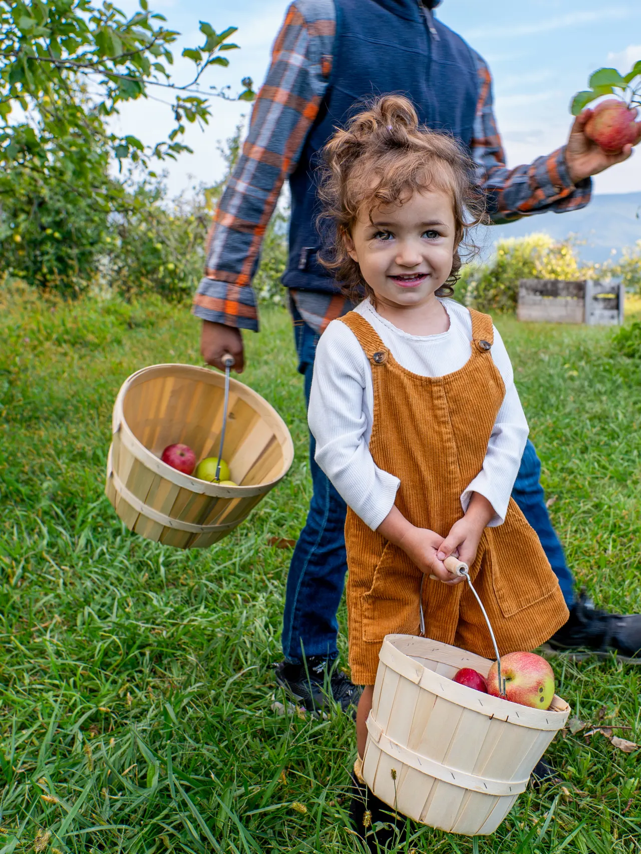 A young child stands in a field holding a basket with apples in it, with an adult behind them also holding a basket.