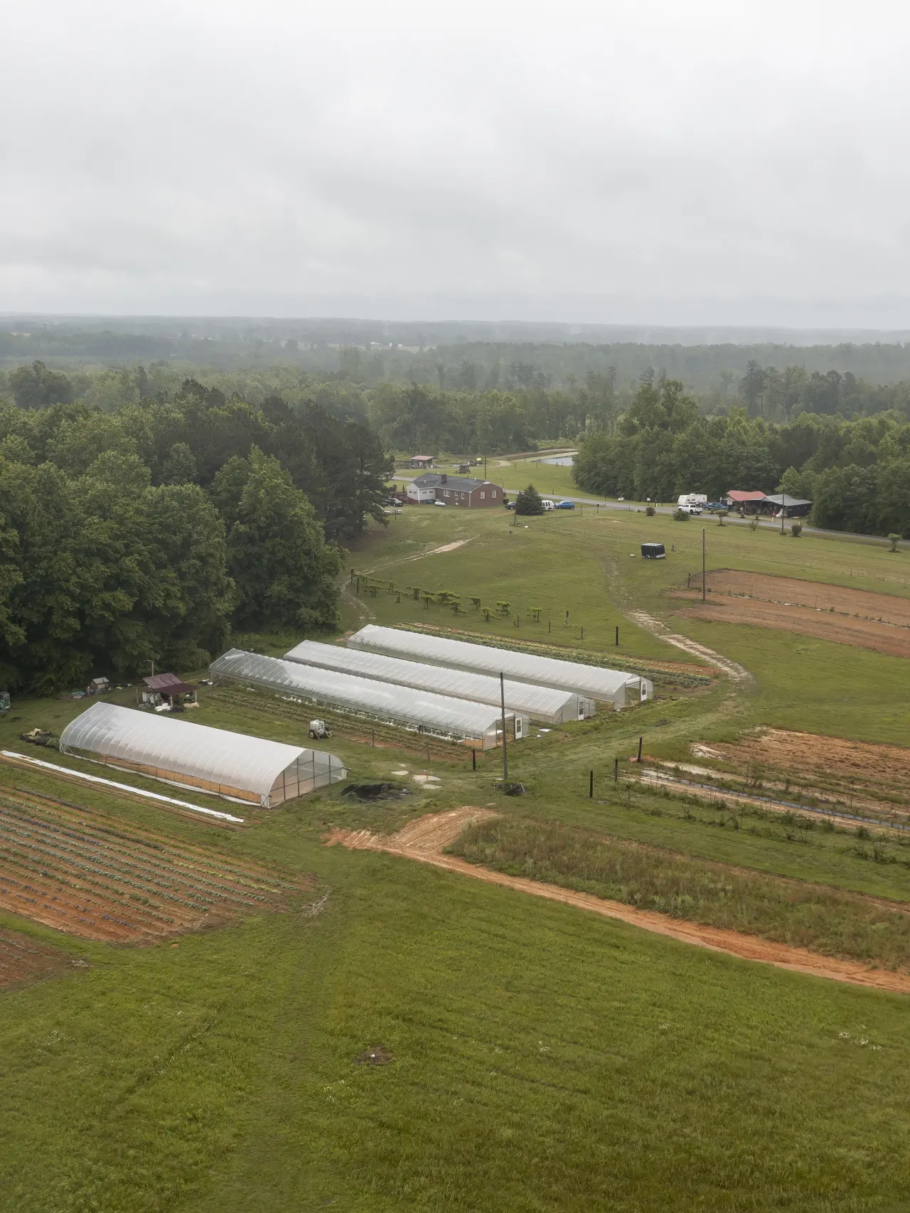 Photo of farmland from above, with four greenhouses, surrounded by trees.