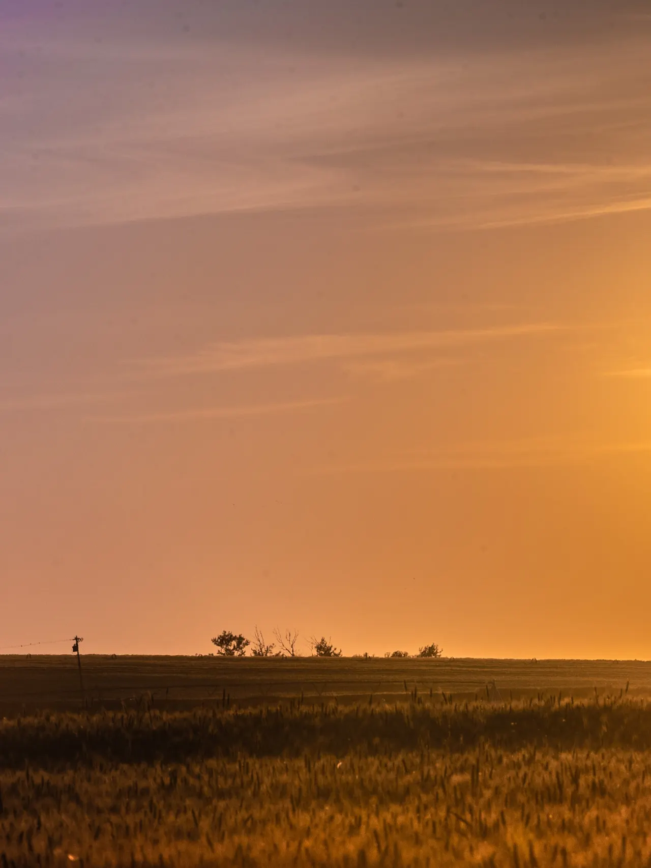 Photo of a field with a sun setting above it, most of the photo is highlighted yellow.