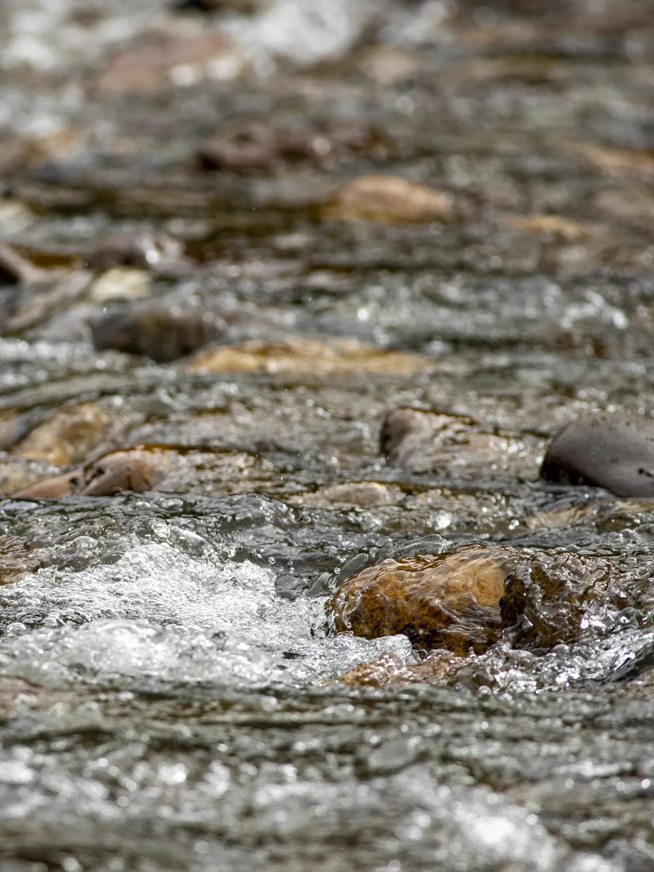 Water flowing over rocks