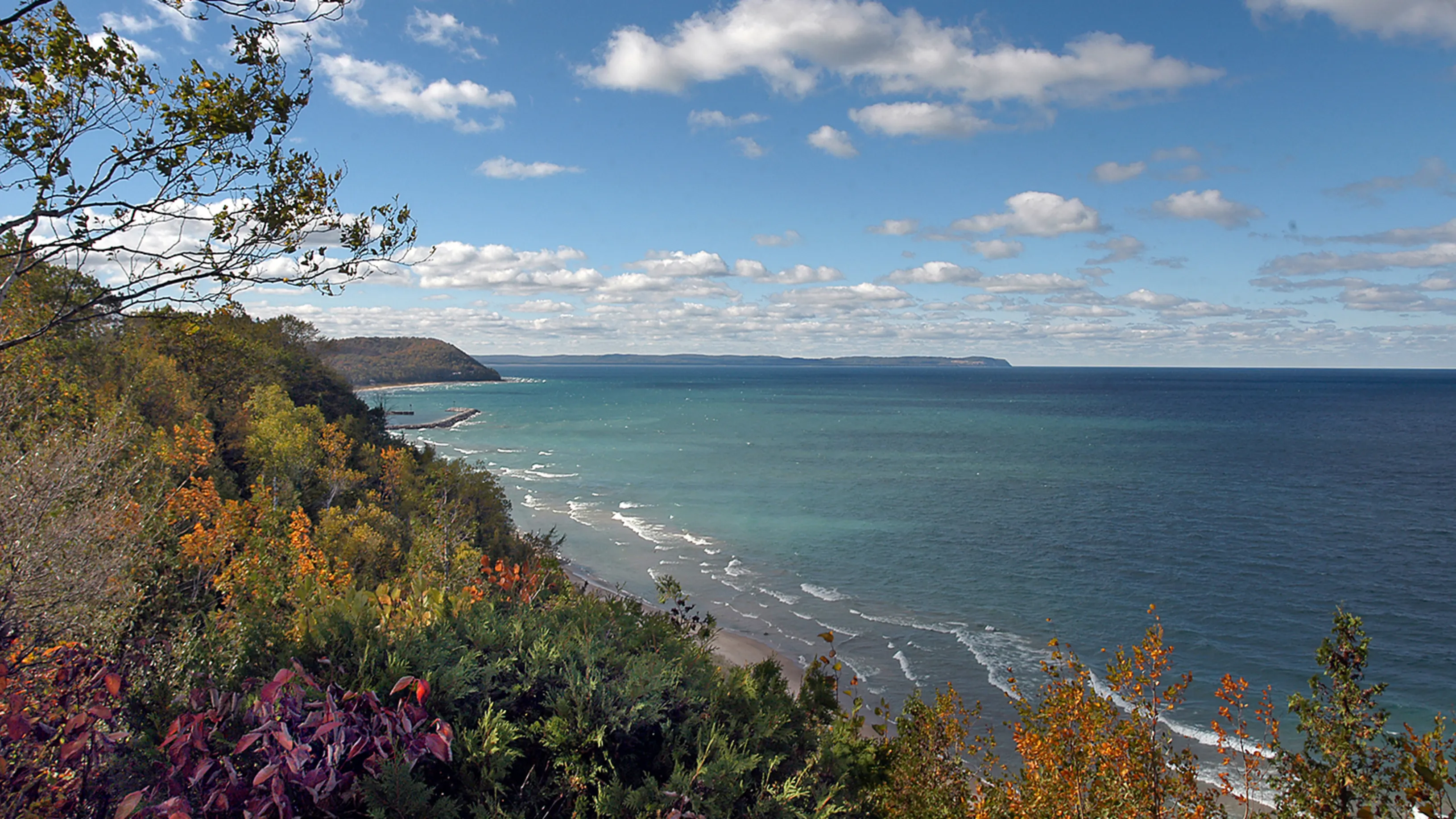 Photo of a shoreline with flowers and trees