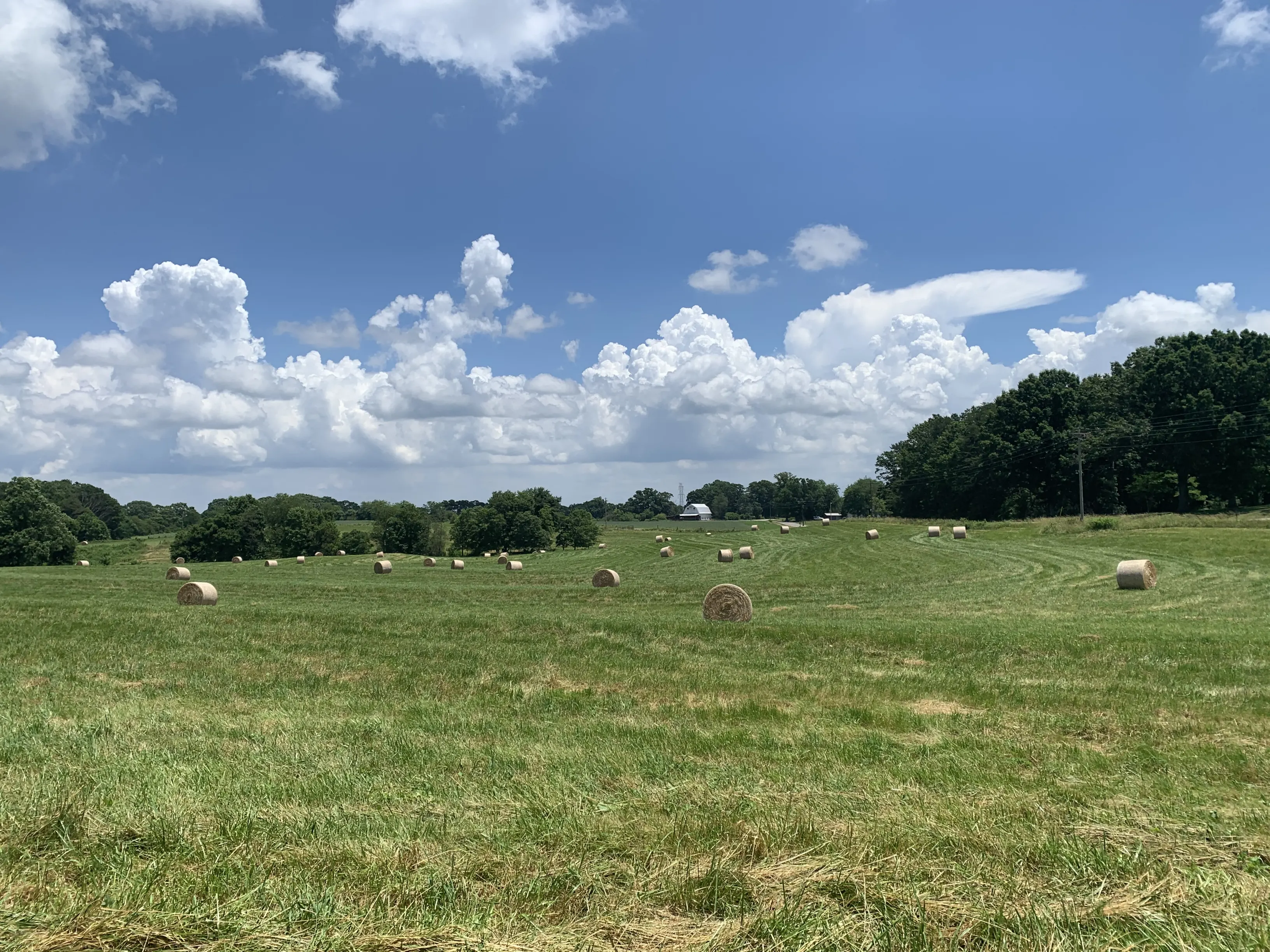 A field with haybales scattered randomly and trees surrounding it.