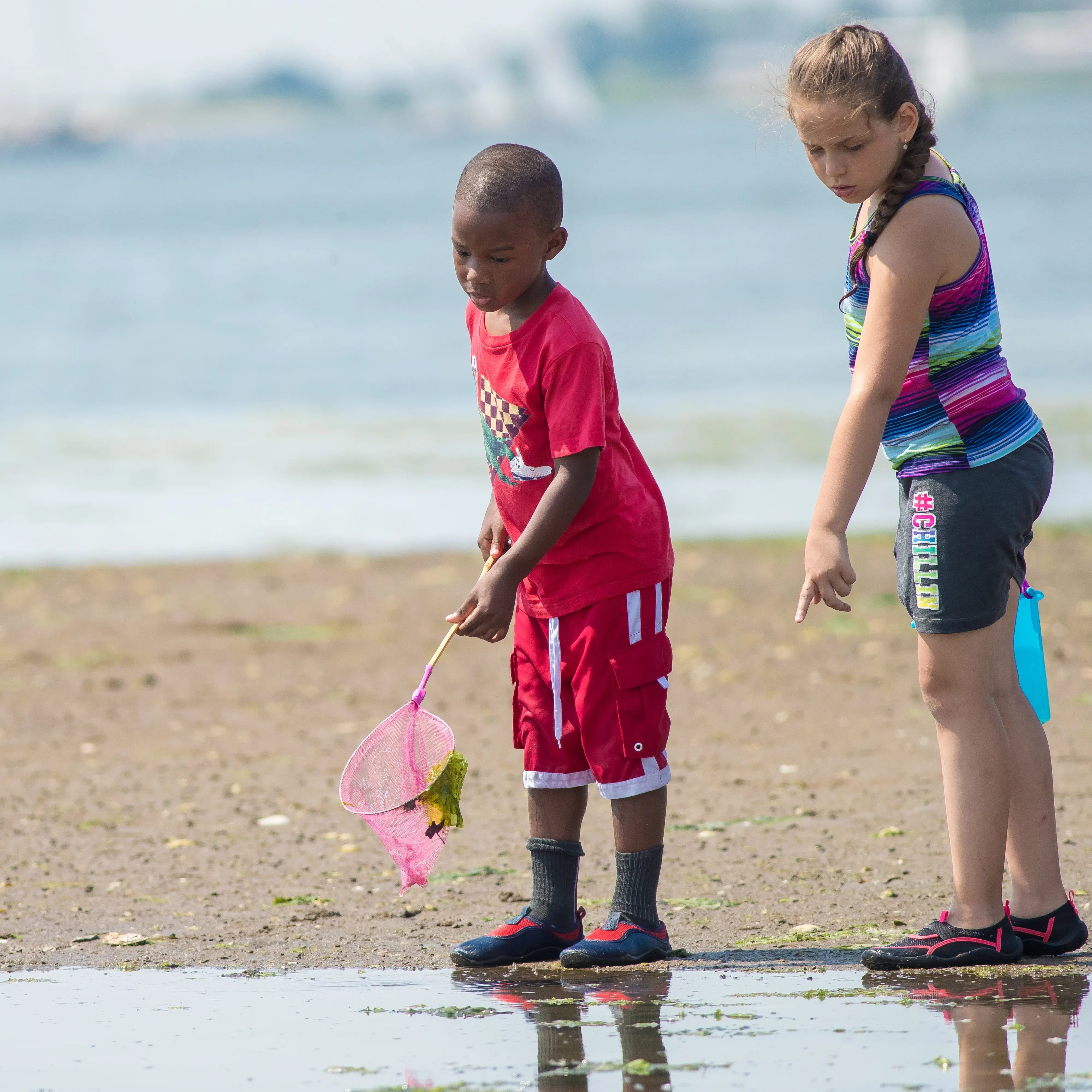 Two children standing on a beach holding nets, one pointing into the water in front of them.