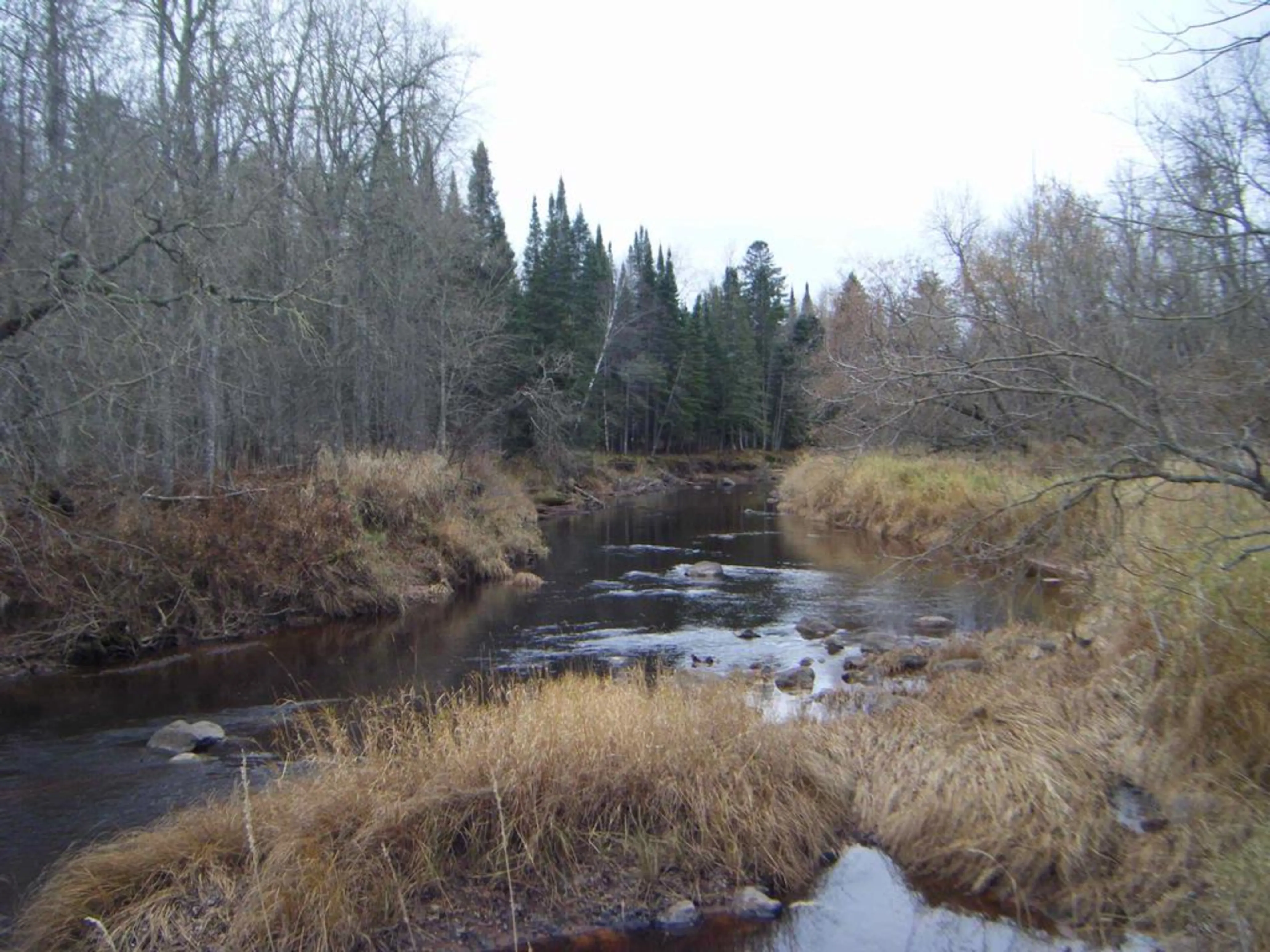 River running through woods.