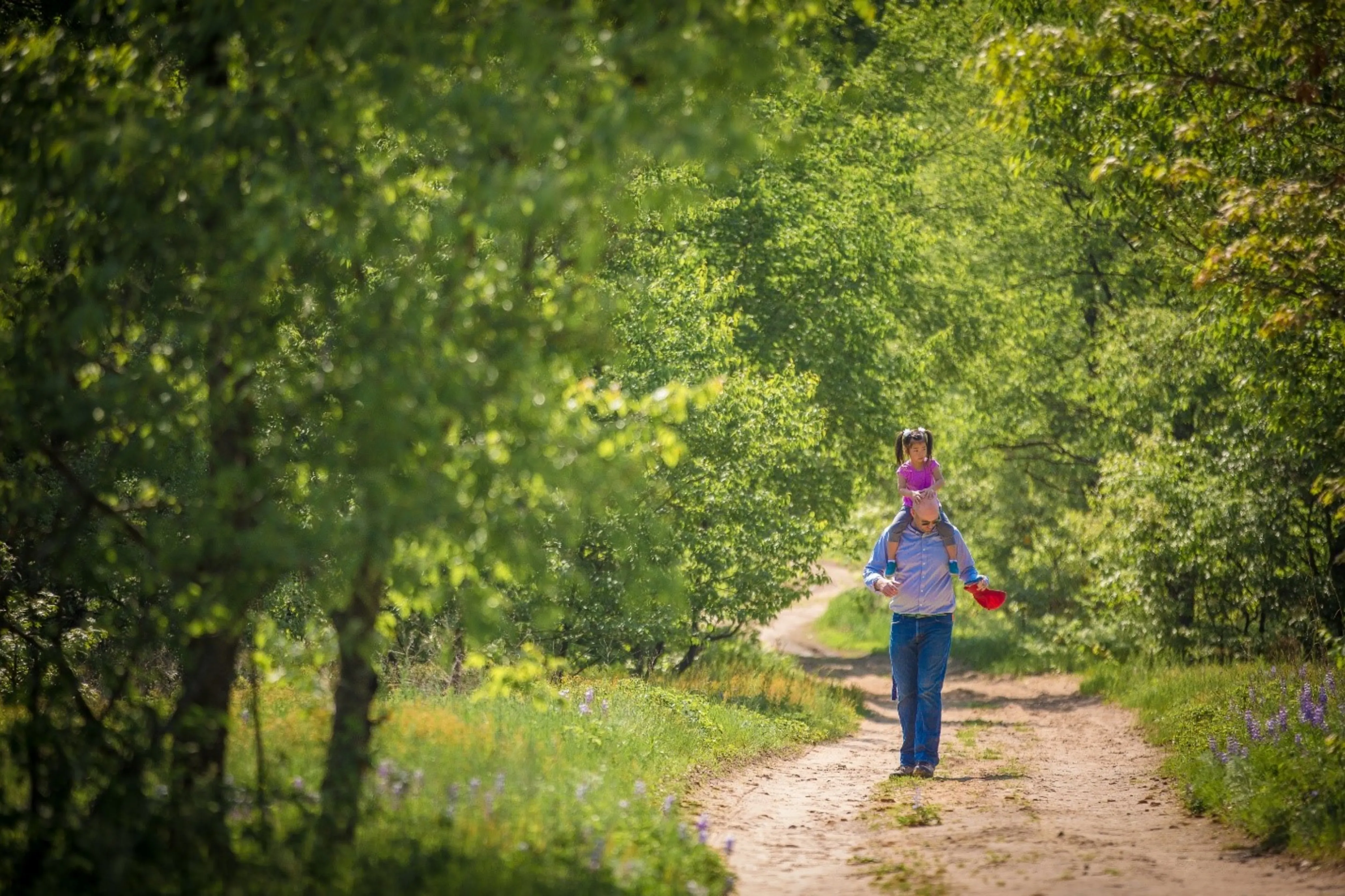 A father carries his daughter on his shoulders through the woods