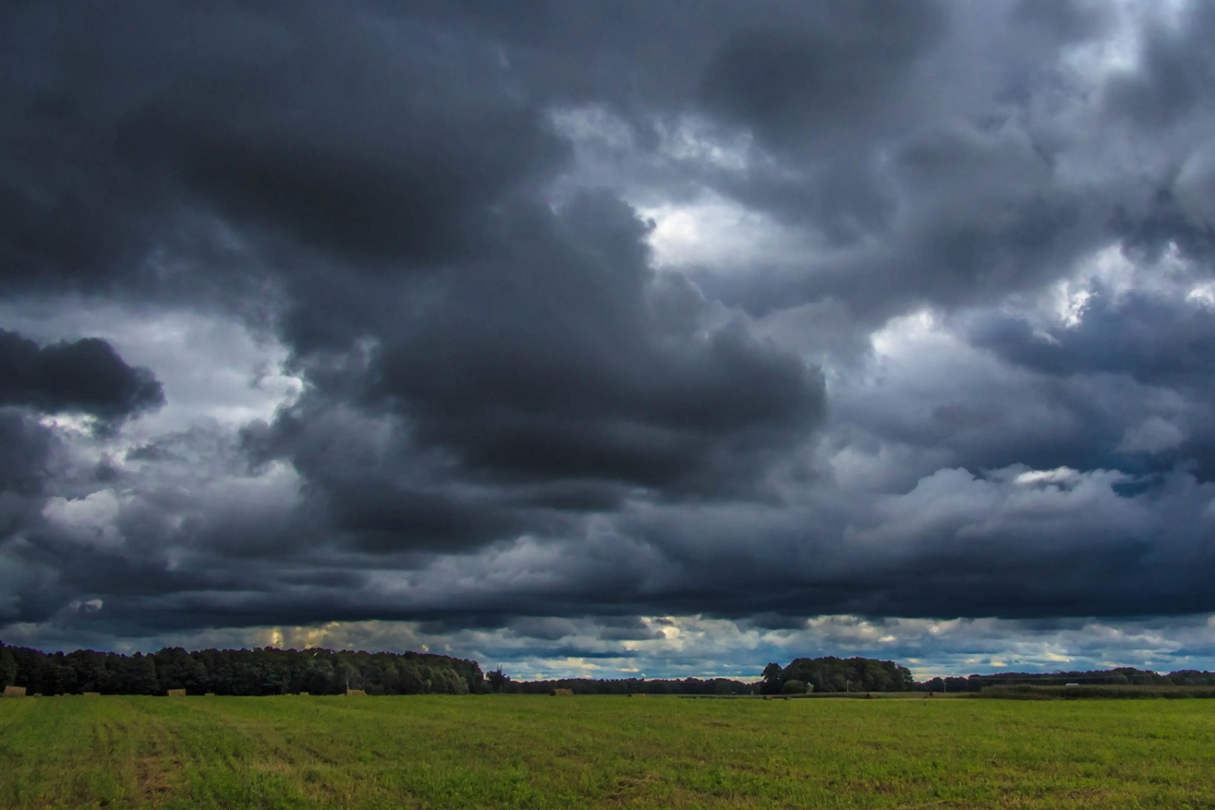 An open field of young crops, with forest in the background and low, gray storm clouds overhead.