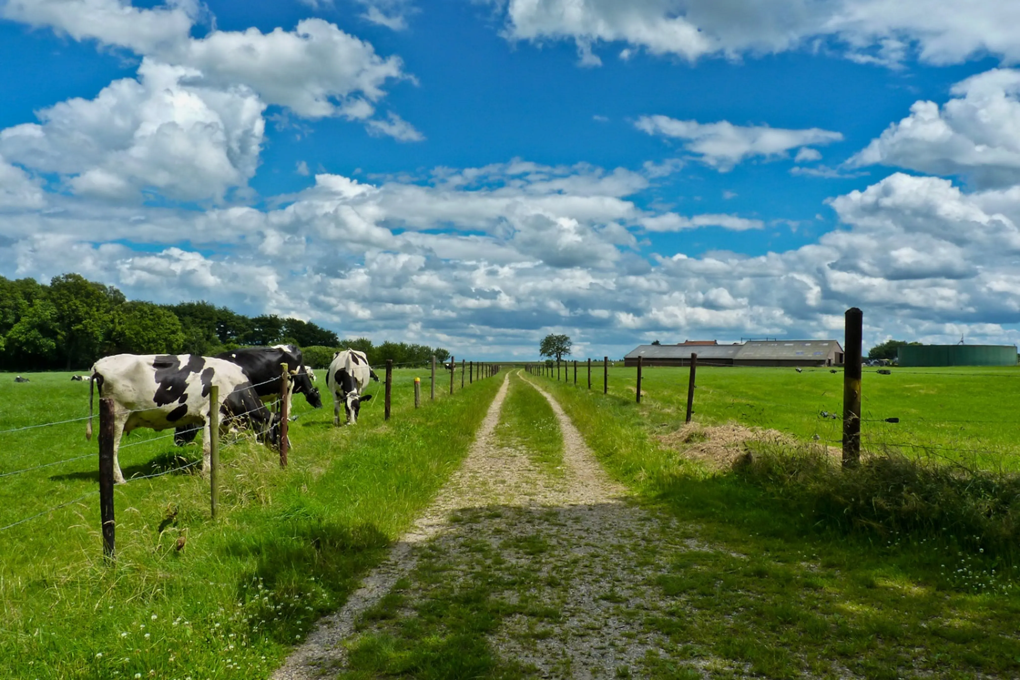 Where has all the farmland gone? Land Trust Alliance