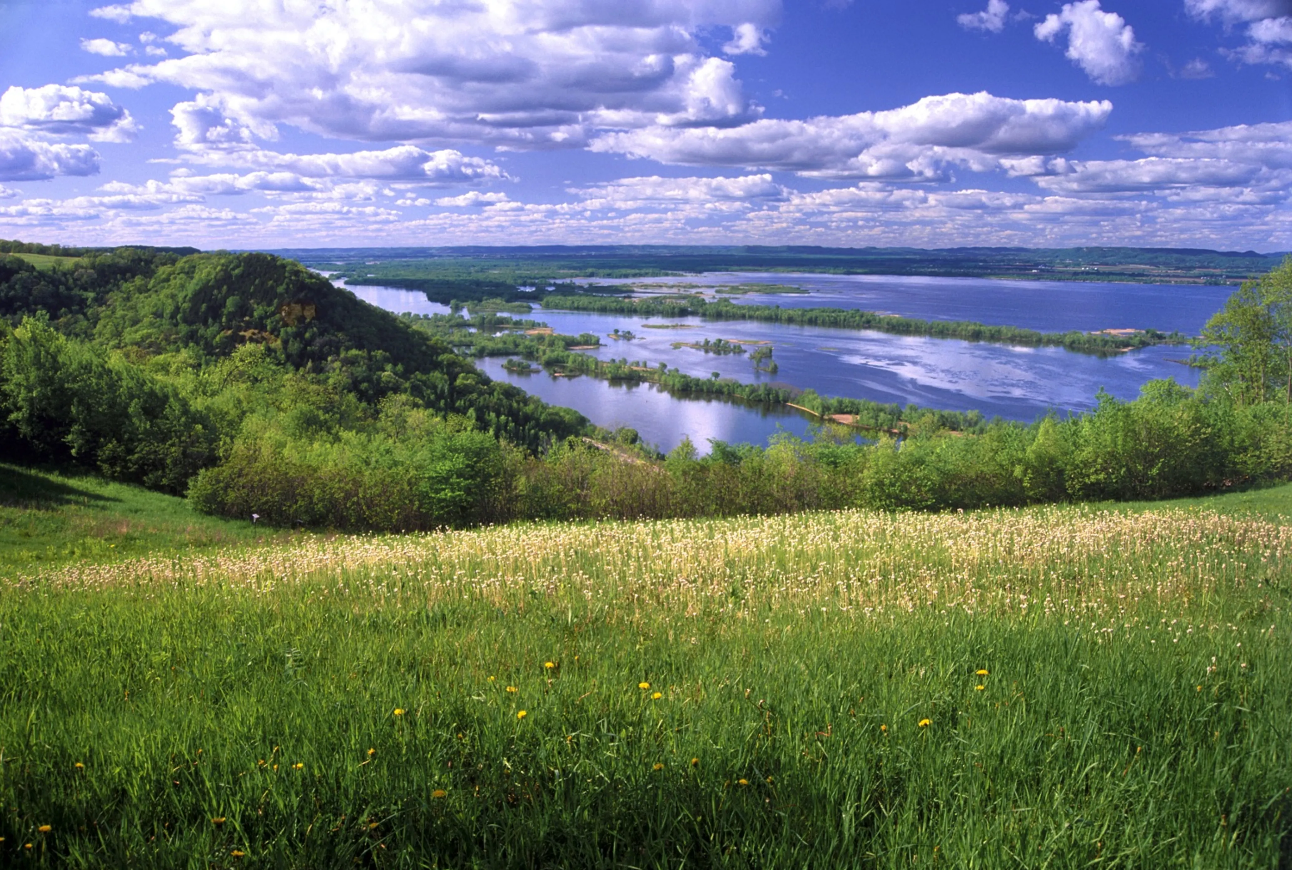 Green meadow with wildflowers overlooking a winding river dotted with tree-covered islands under a blue sky with fluffy clouds.