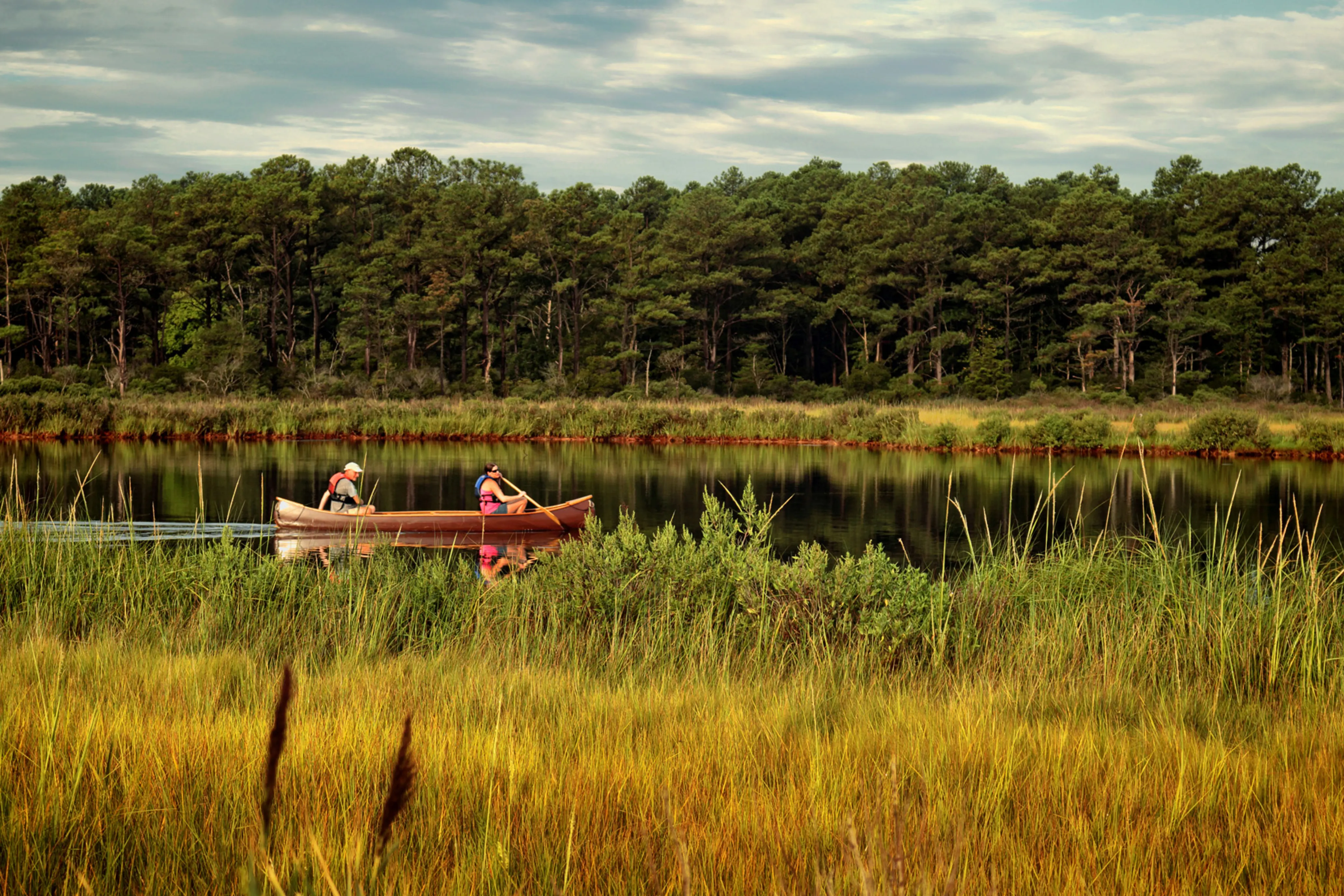 A man and woman paddle their canoe down a wide creek, with field grass in for foreground and forest in the background.