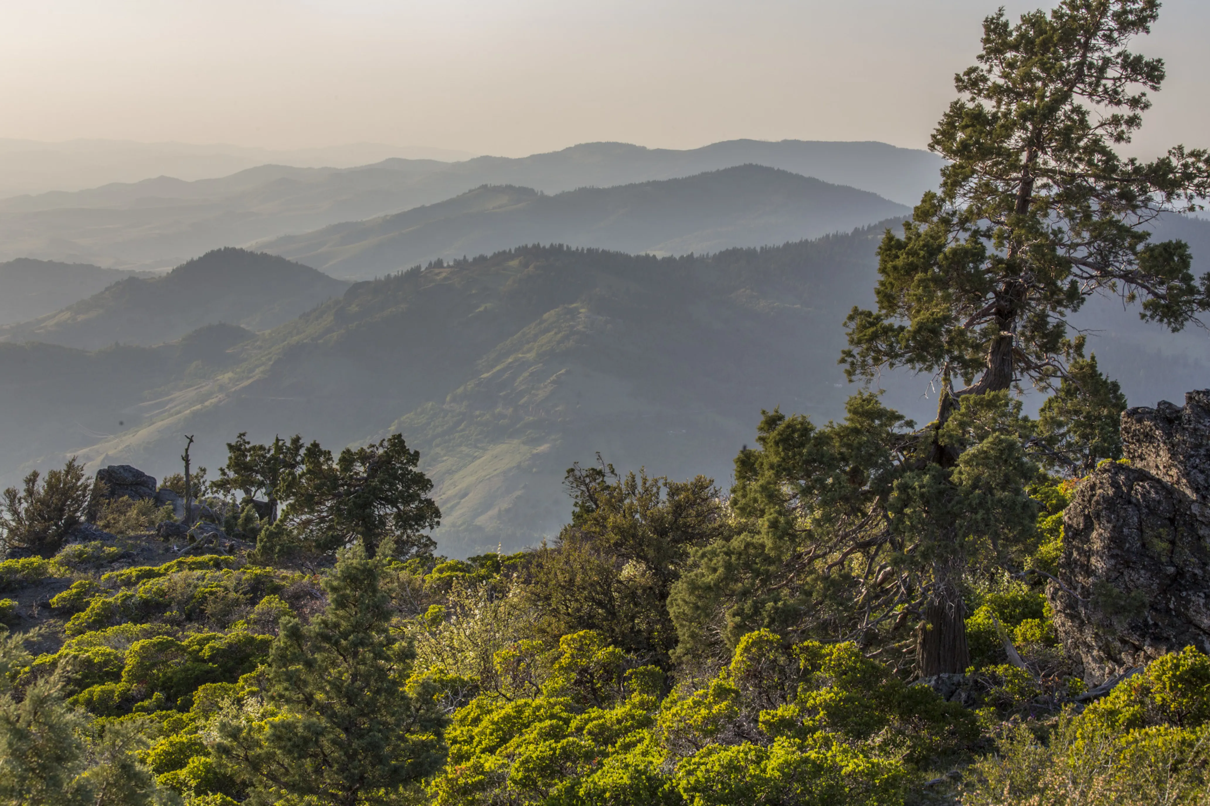 Green, tree-covered mountains stretch into the distance underneath a hazy sky, captured from the Cascade-Siskiyou National Monument in Oregon.