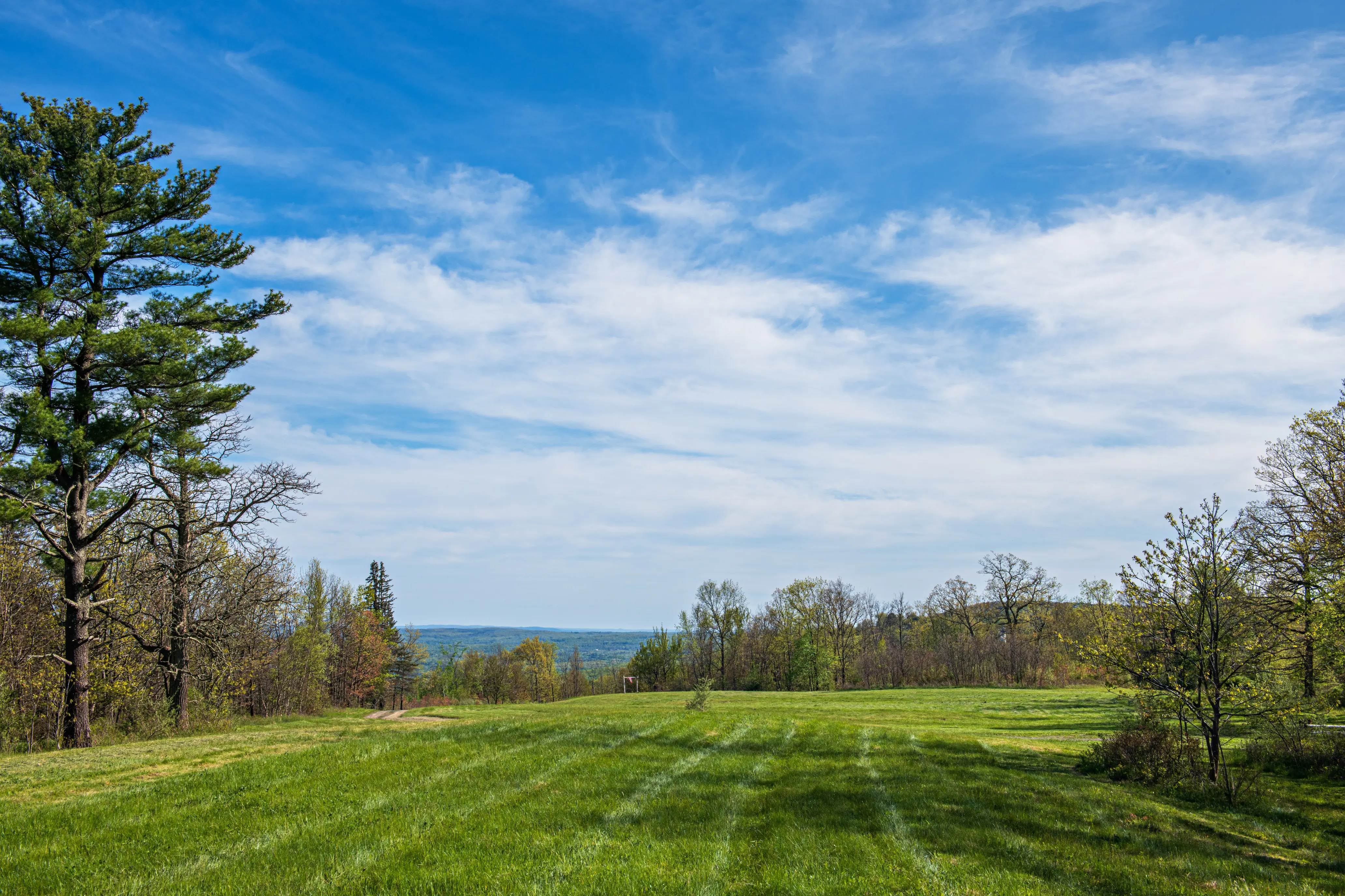 A mown field surrounded by trees