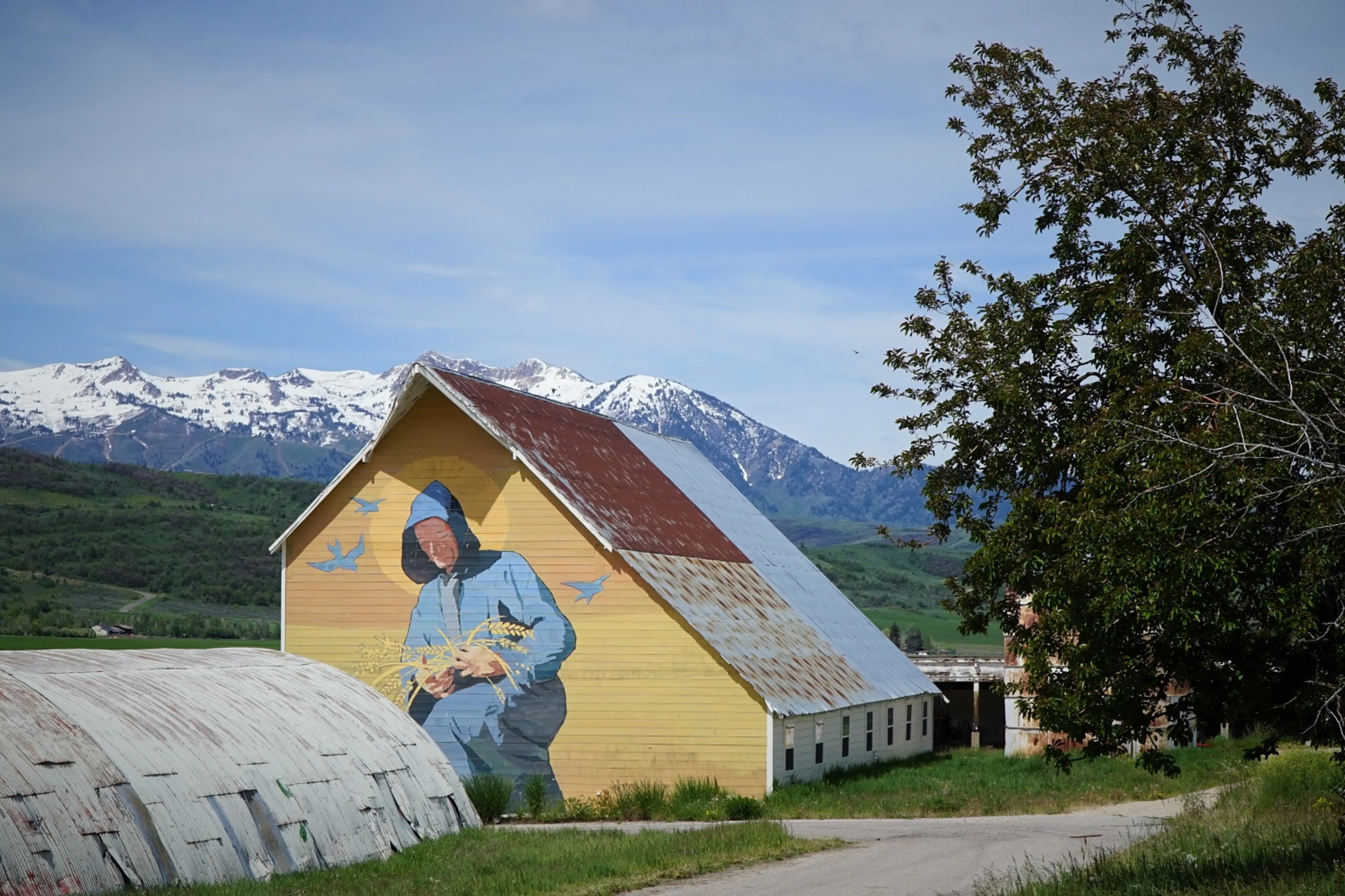 A large A-frame barn, painted yellow with an image of a monk holding stalks of wheat, sits in a field with snow-capped mountains in the background.