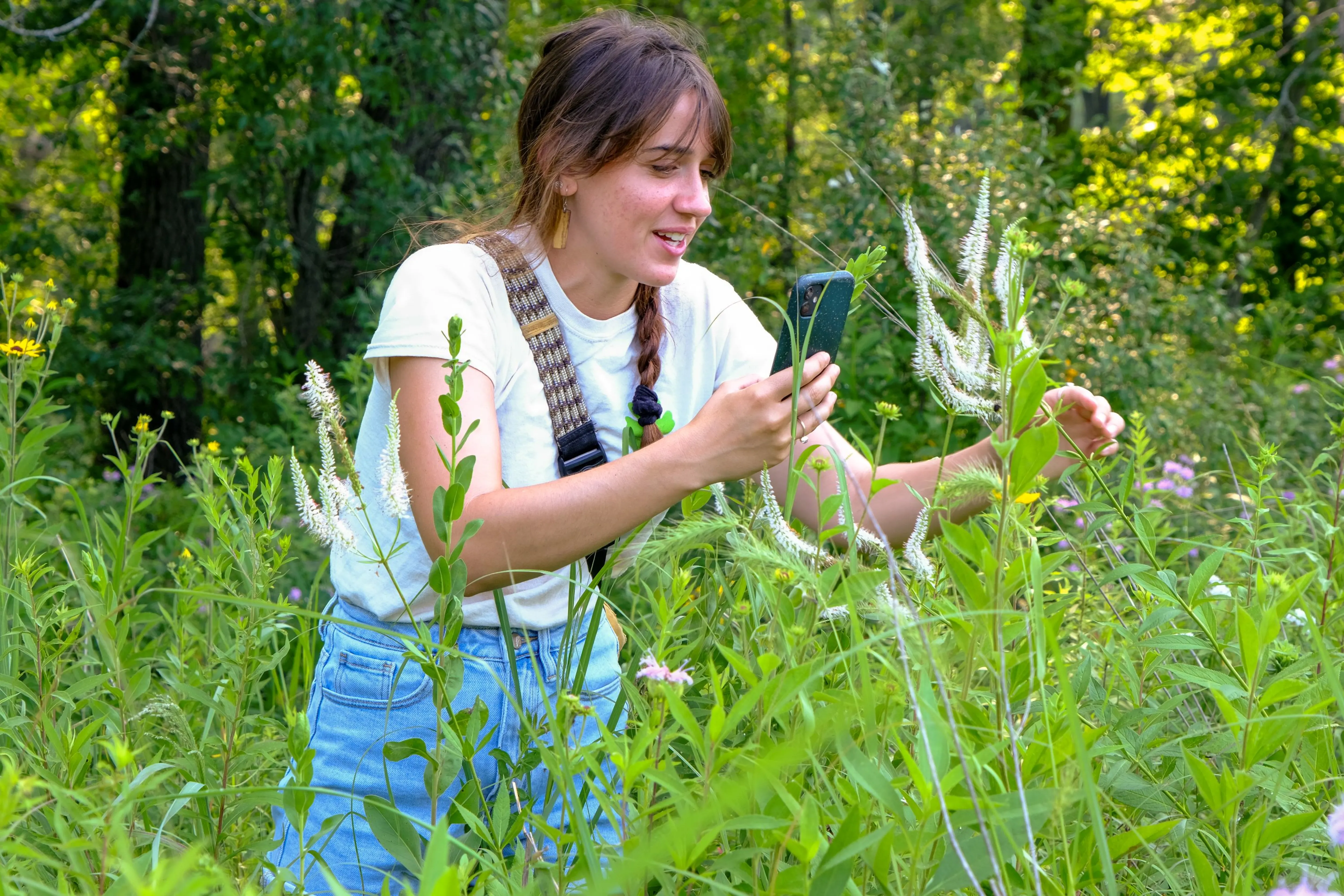 A person holding a cell phone up to plants in a meadow surrounded by trees
