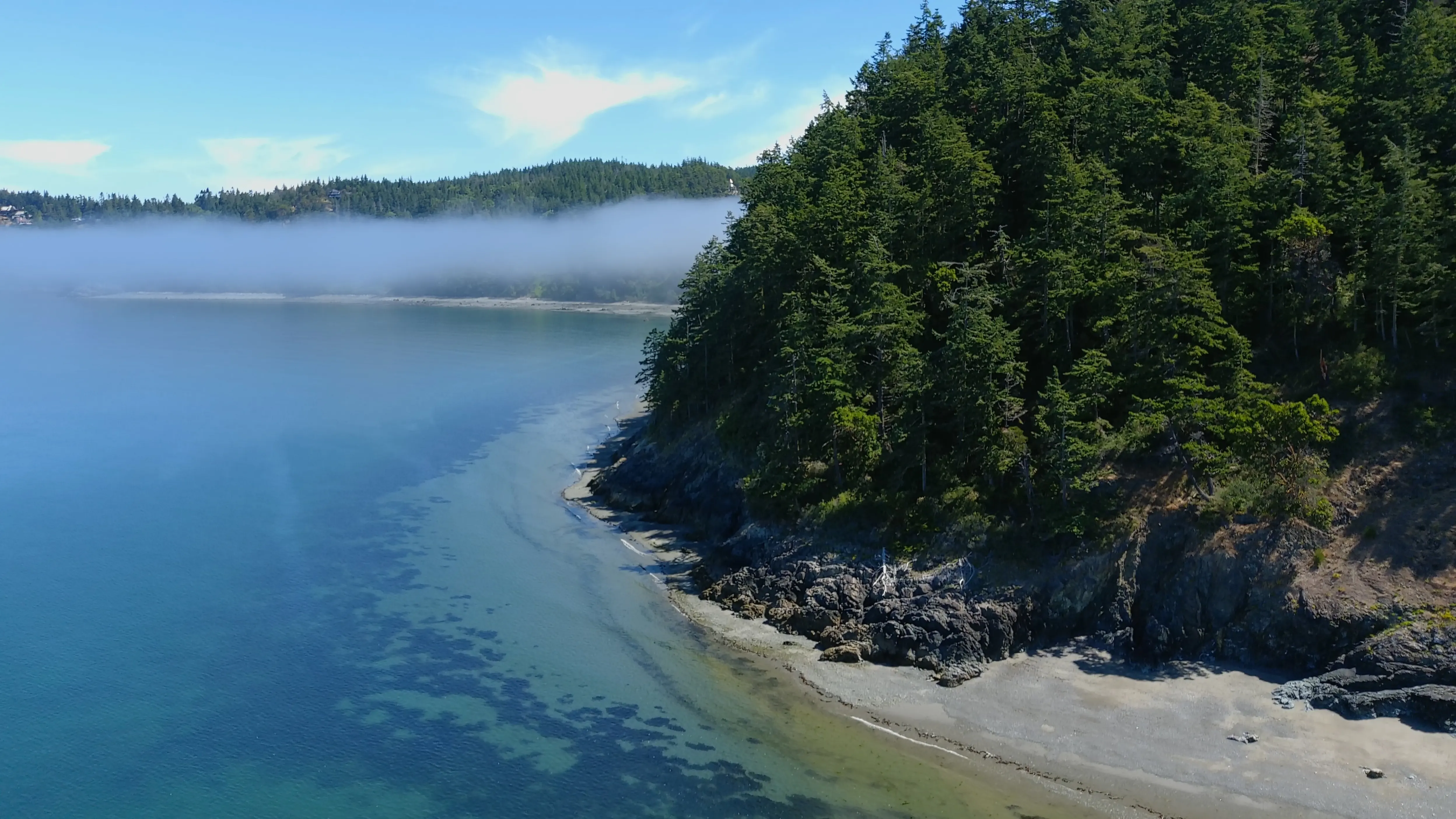 Forested area surrounding a blue see-through water with fog over it