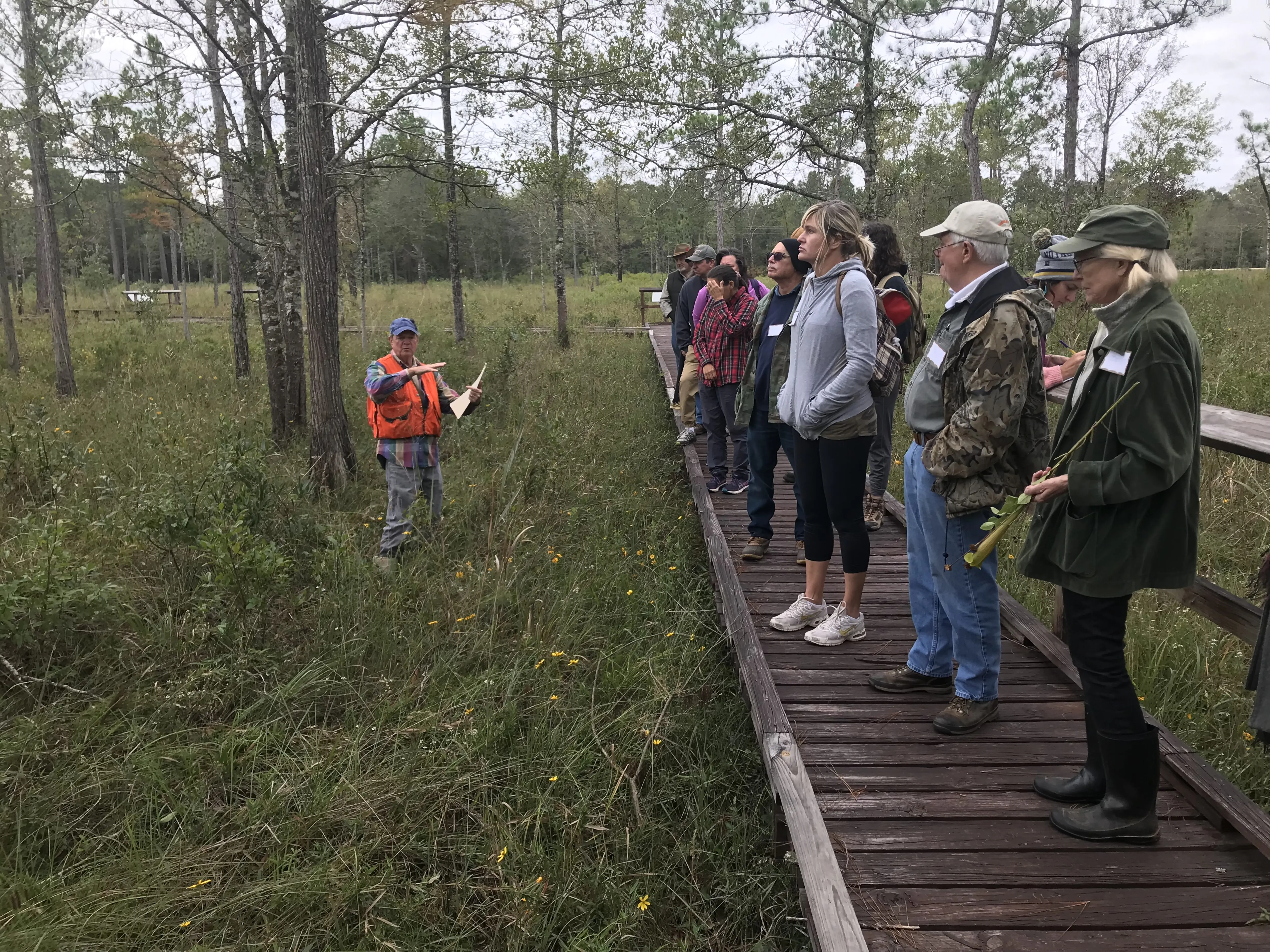 A group of walkers stand on a boardwalk while a guide explains something to them.