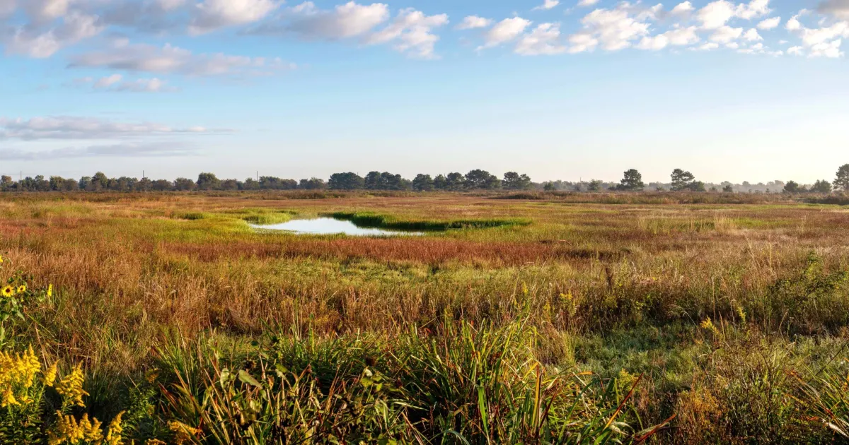 Cod Prairie Coastal Prairie Conservancy - Land Trust Alliance
