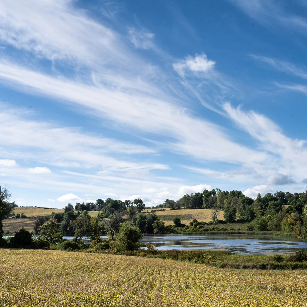 Dutchess Land Conservancy