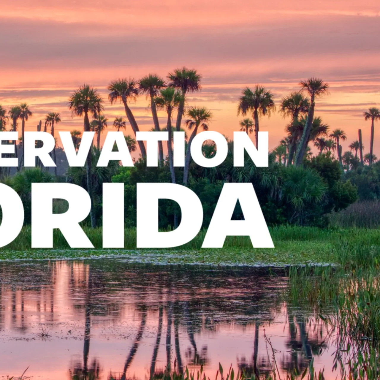 Conservation Florida