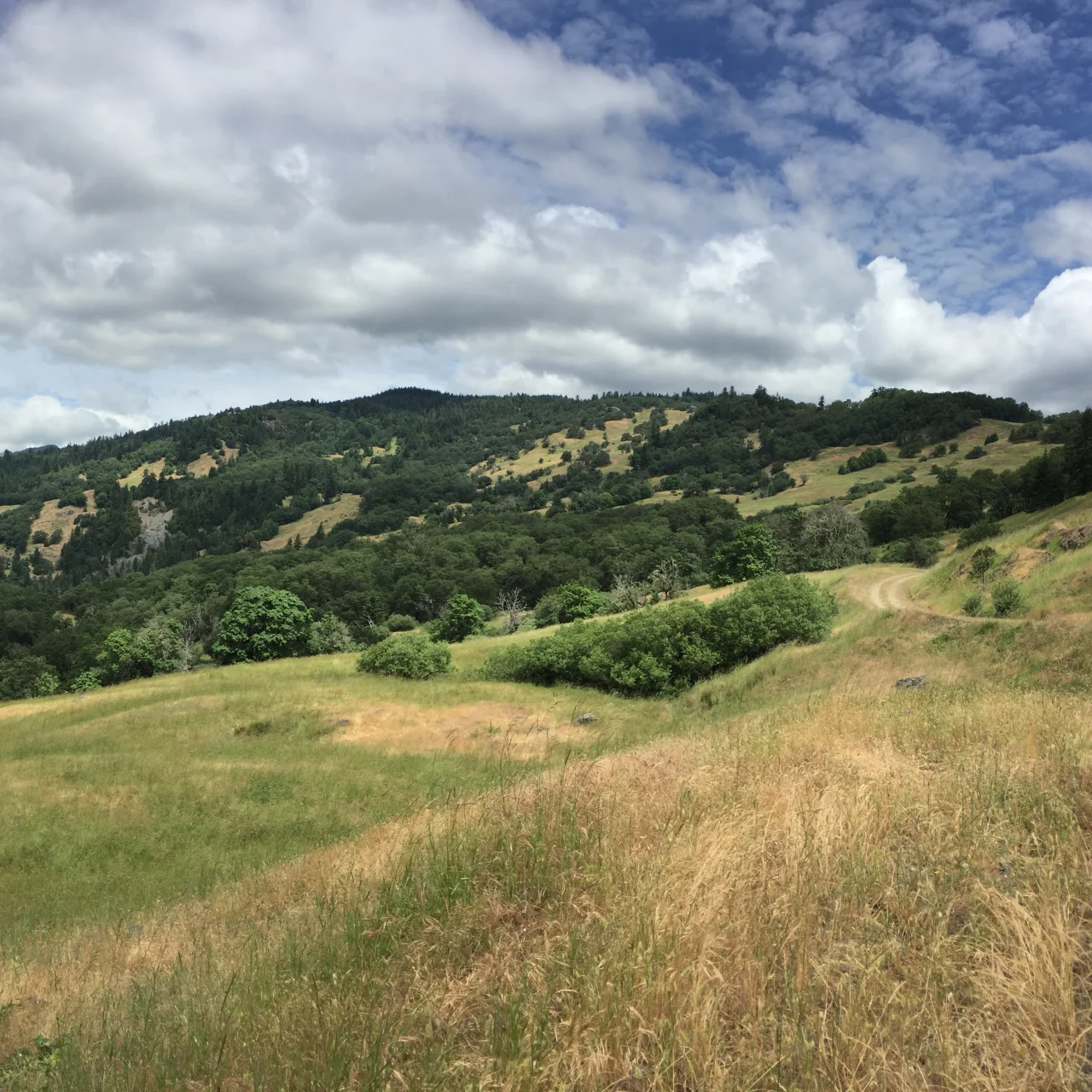 Northcoast Regional Land Trust