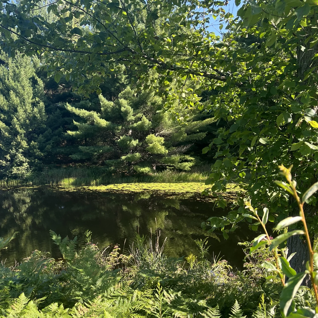 Cadillac Area Land Conservancy