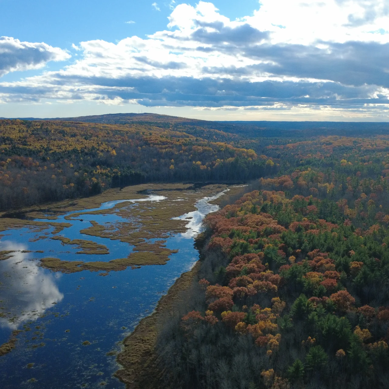 Midcoast Conservancy