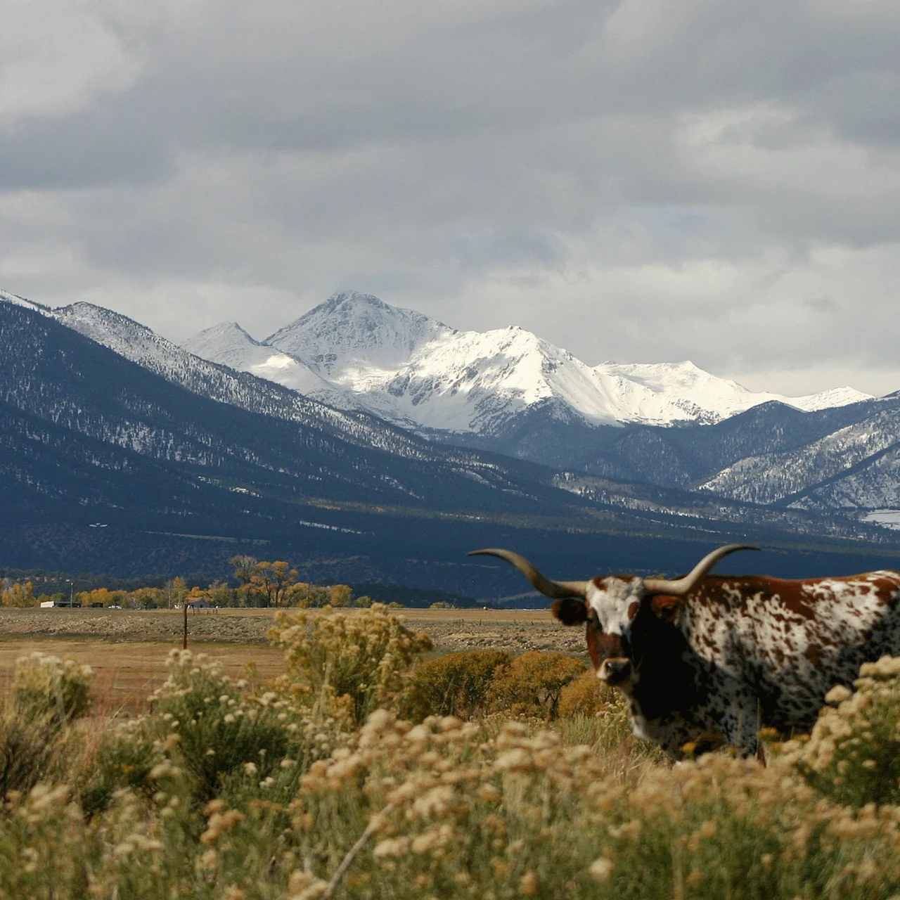 Central Colorado Conservancy