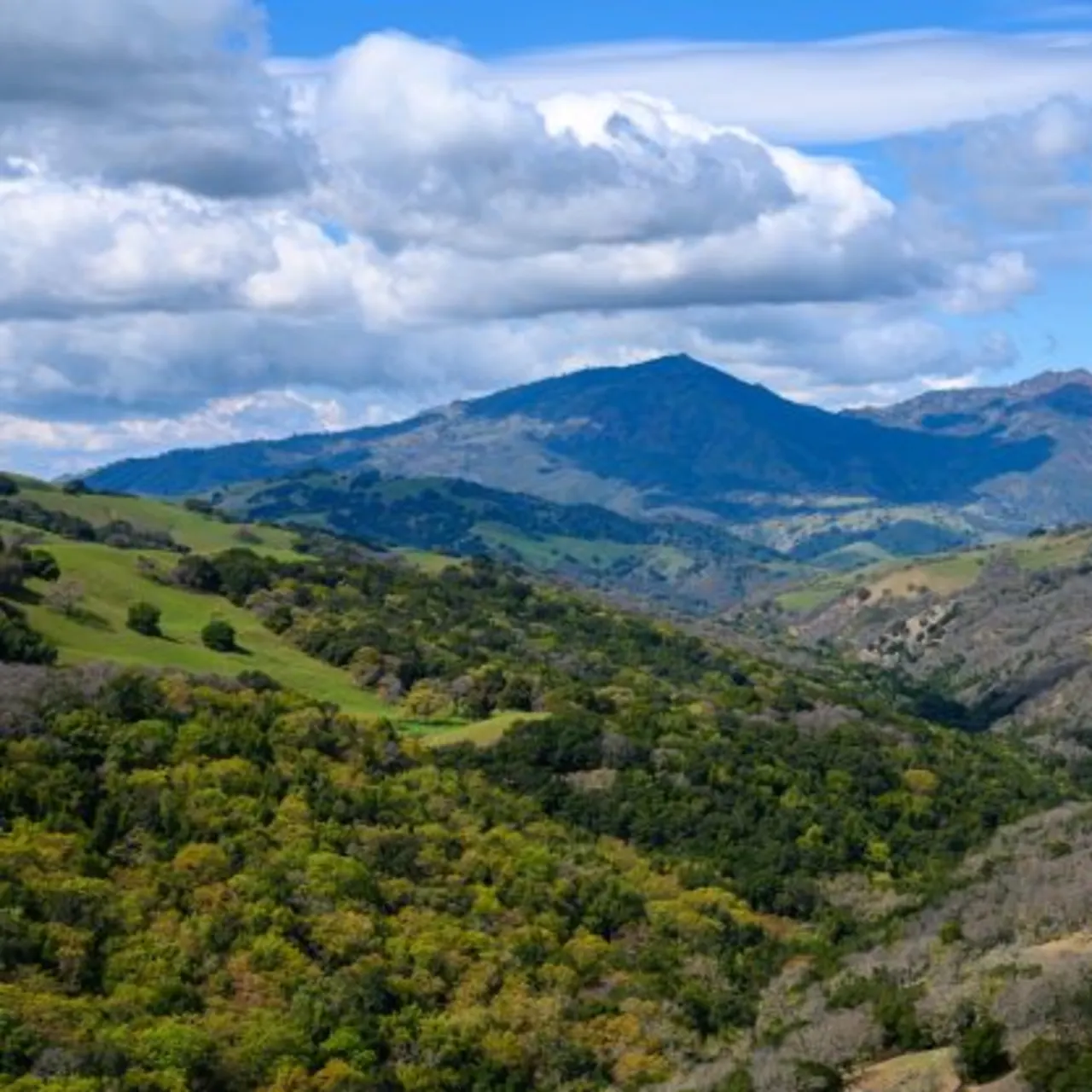 Save Mount Diablo