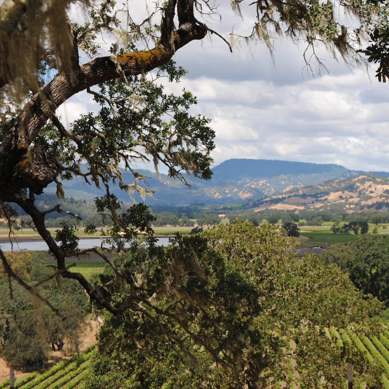 Land Trust of Napa County