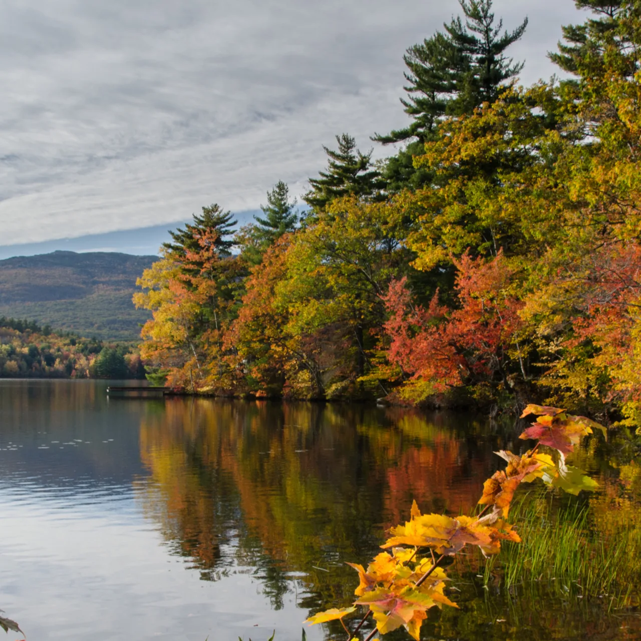 Monadnock Conservancy