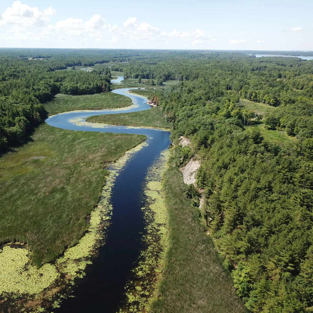 Thousand Islands Land Trust
