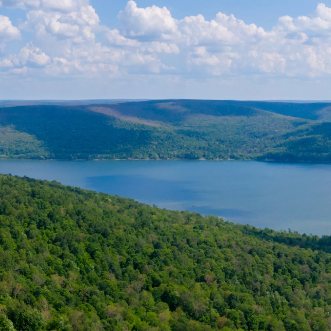 Western New York Land Conservancy