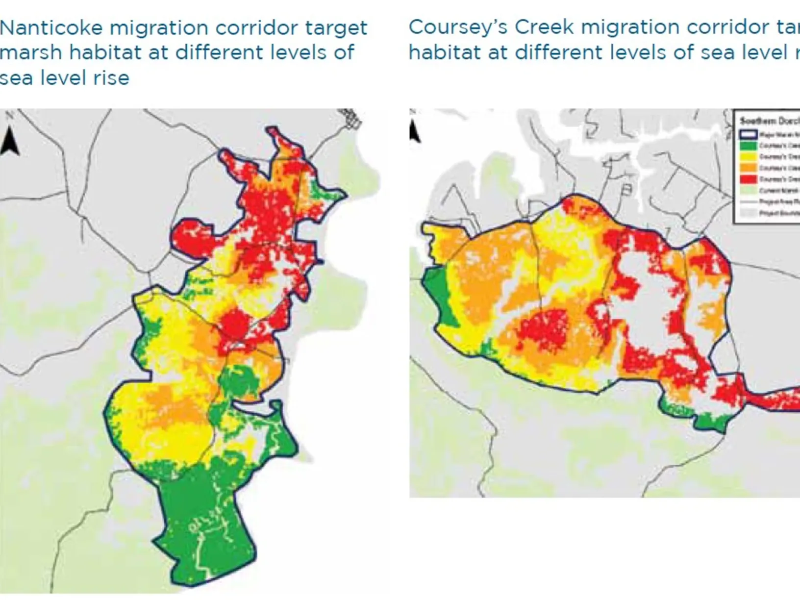 Two maps side by side, one that has the header "Naticoke migration corridor target marsh habitat at different levels of sea rise." The second has the header "Coursey's Creek migration corridor target marsh habitat at different levels of sea level rise."