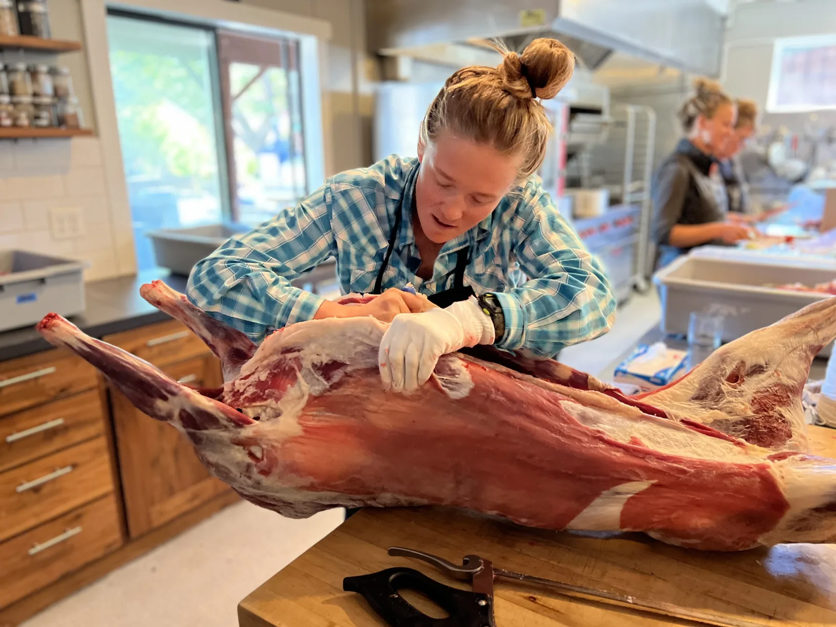 Woman cutting into an animal in a labratory