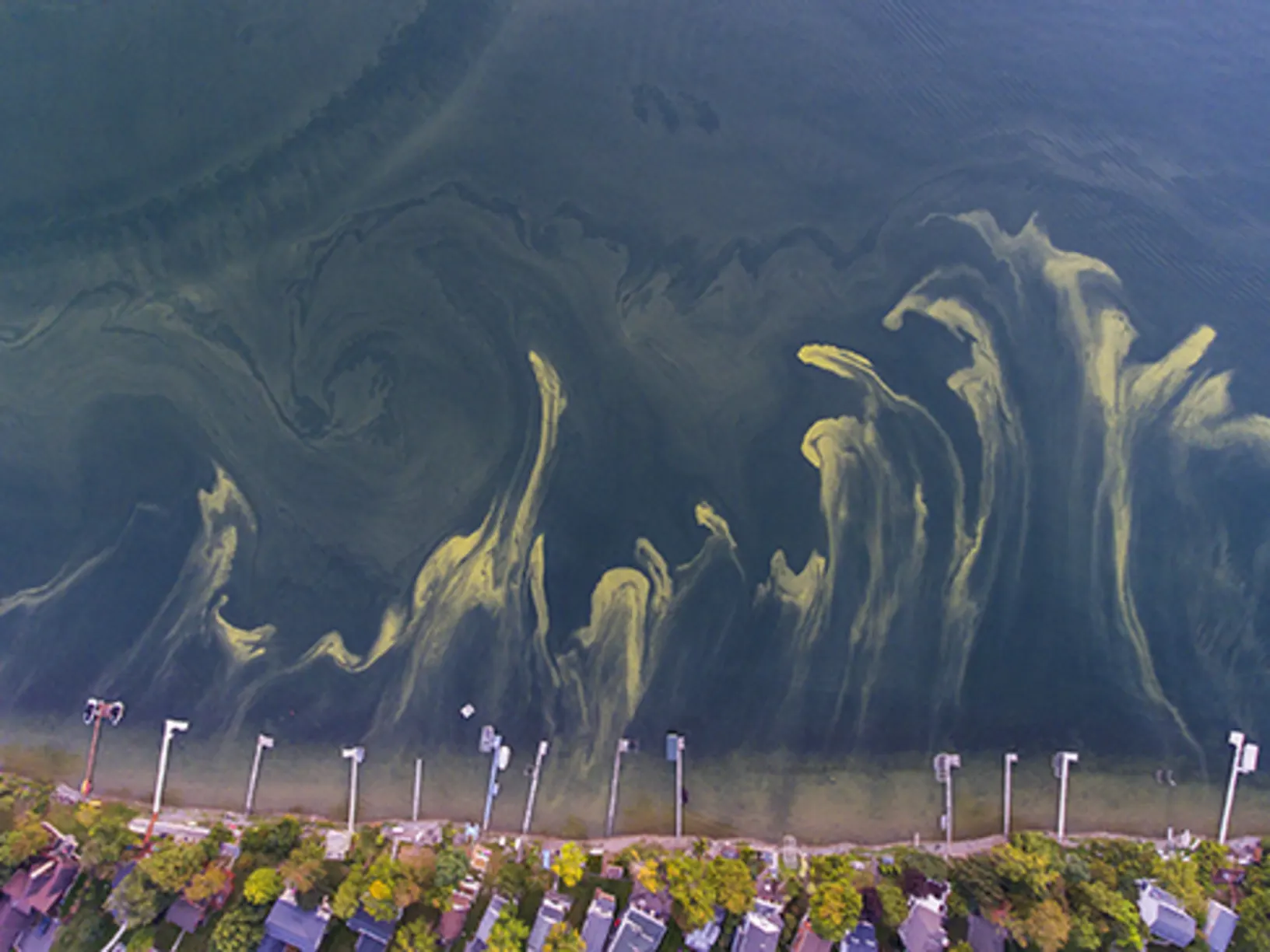 A photo from above looking down at water surrounded by docks that has yellow-ish lines in it, which is salt.